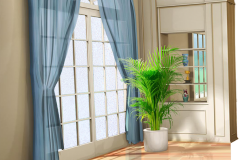 DOOR_DELTA_HOUSE_DAY