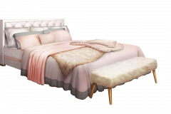 VV_CBGN_BED