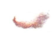 bruise_03