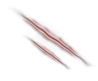 wound_01