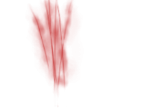 wound_02
