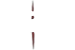 wound_03