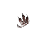wound_05